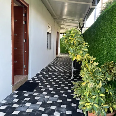 White 게스트하우스